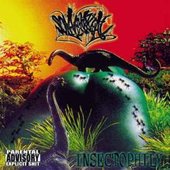 Insectophily