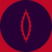 Cassegrain & Tin Man