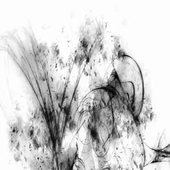 ghosties_grave 的头像
