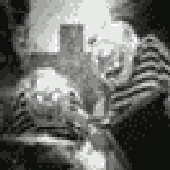 Avatar for bobsel
