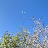 By July - Single