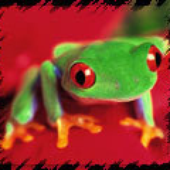 Avatar for MrGreeny