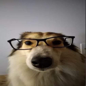 nerdgirl9656 的头像