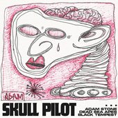 Skull Pilot