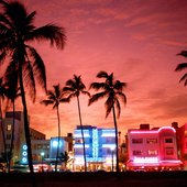 neonnights