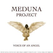 Voice of an Angel (Celtic Elves Lounge and Gregorian Ambient Chants and Vocal Chillout Sessions)