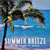 SUMMER BREEZE ~ A Late Night In Hawaii