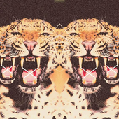 Avatar for g0ld-dusted