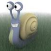 Awatar dla coolsnail