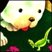 LastFM profile picture for @kuchi