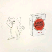 Chiriari 的头像