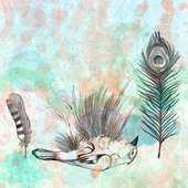 Following Feathers
