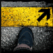 madsigns için avatar