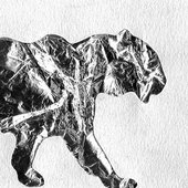 Elegant Animals