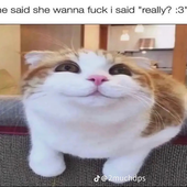 valentinesimp69 的头像