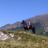 Avatar di mandglenshiel