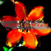Summer Now