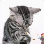 IMG_2265.jpeg
