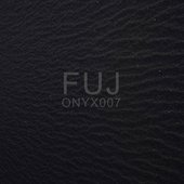 ONYX007