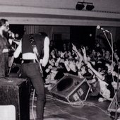ROOT live