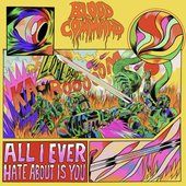 All I Ever Hate About Is You