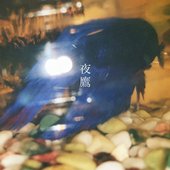 夜鷹