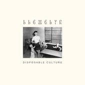 Disposable Culture