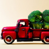 holy_broccolli 的头像