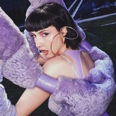 IMG_3395.jpeg