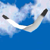 W1ngw0ng 的头像