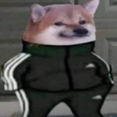 Avatar for katnameddan