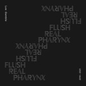 Lee Gamble - Flush Real Pharynx.jpg