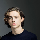 timothée chalamet