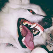 Avatar for exxii