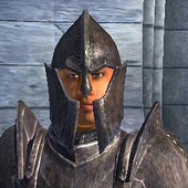 Avatar for Oblivion_Guard