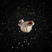 Mission Rosetta