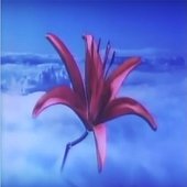何も は リアル
