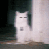 Kay_Lurker 的头像