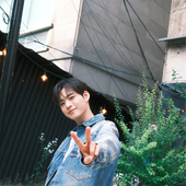 shawolcarat 的头像