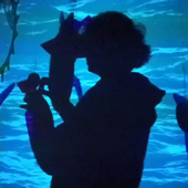 lumenwood 的头像