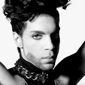 Prince - By Herb Ritts.png