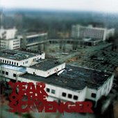Year of the Scavenger