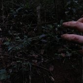 0015797931_10.jpg