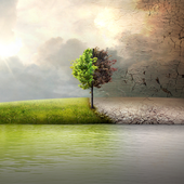Before The Flood