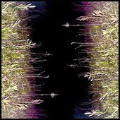 Devil Dog [single]