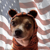 Avatar for NaturalForNow