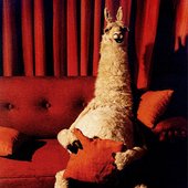 La llama que llama