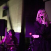 Black Kite live