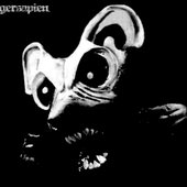 tigersapien.
