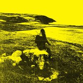 Flickers from the Fen - Artist Photo